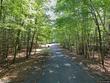 lot 10 pine terrace ct, saint germain,  WI 54558