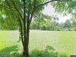 3702 little creek rd, dublin,  VA 24084