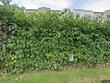 1210 city pl, edgewater,  NJ 07020