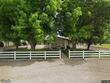 2450 george rd, williams,  CA 95987
