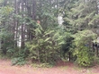 7948 fir st, concrete,  WA 98237