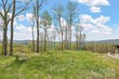 lot s-123 silver eagle trail # s-123, banner elk,  NC 28622