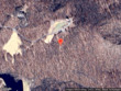 697 kings rdg trl, todd,  NC 28684