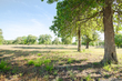 344 shorthorn rd, stockdale,  TX 78160