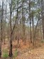 lot 4 great falls highway, chester,  SC 29706