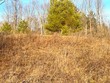 lot 6 thorn apple dr, wittenberg,  WI 54499