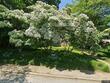 224 tunbridge rd, baltimore,  MD 21212