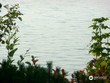 edmonds,  WA 98020