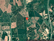 0 tree farm road, walterboro,  SC 29488