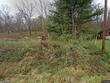 1943 county road 15, south point,  OH 45680