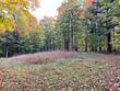 1323 deer path, phelps,  WI 54554