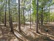 8990 palmetto rd, edisto island,  SC 29438