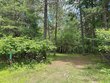  woodruff,  WI 54568