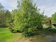 28 high view ln, mertztown,  PA 19539