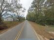 1455 forest drive, midland city,  AL 36350