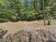 14273 broad mountain, petersburg,  PA 16669