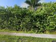 1130 sw 34th street, palm city,  FL 34990