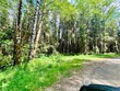 300 lot 5 luttrell lane, chinook,  WA 98614