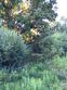 42870 48th ave, paw paw,  MI 49079
