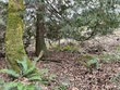 48 holiday boulevard, anacortes,  WA 98221