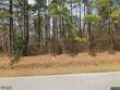 193 camelia rd, benson,  NC 27504