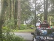 0 s shore drive, lake cavanaugh,  WA 98274