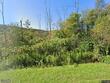 address withheld by seller, homer,  NY 13077