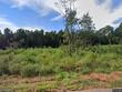 358 coats ridge dr, benson,  NC 27504
