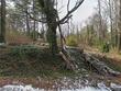 552 thomas street, henderson,  NC 27537