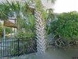 2002 palmetto blvd, edisto island,  SC 29438