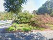 4517 briarfield rd, columbia,  SC 29206