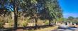378 chicora lane, yemassee,  SC 29945