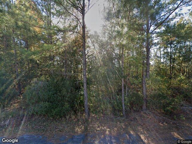 119 hunters chase dr lot 62
                                ,Unit Lot 62, guyton,  GA 31312