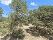 81 apache ridge rd, santa fe,  NM 87505