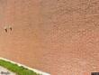 1205 roland heights ave, baltimore,  MD 21211