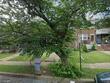  baltimore,  MD 21206