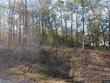  vidor,  TX 77662