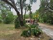 2900 county road 415, lake panasoffkee,  FL 33538