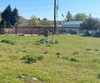 1515 columbia ave, bridgeport,  WA 98813