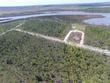 lot 36 e bay dr, wewahitchka,  FL 32465