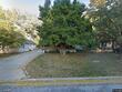 4719 canterbury rd, roeland park,  KS 66205
