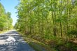 0 dopson road, islandton,  SC 29929