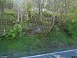 3303 old highway 16, jefferson,  NC 28643