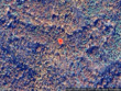 435 high knolls rd, fleetwood,  NC 28626