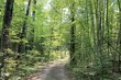 1899 amik lake ln, lac du flambeau,  WI 54538