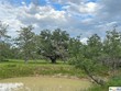 800 & 744 fannin oaks, goliad,  TX 77963