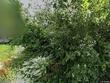 1314 e 81st st, kansas city,  MO 64131
