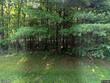 100 monkey run rd, port crane,  NY 13833