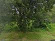 320 warner st, bridge city,  TX 77611