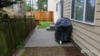  lynnwood,  WA 98036